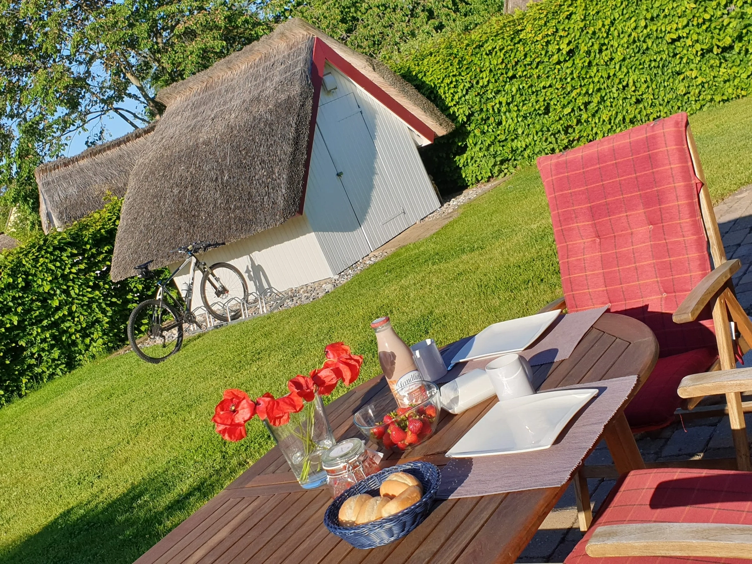 Ferienhaus Findling — Zempin — Außenanlagen