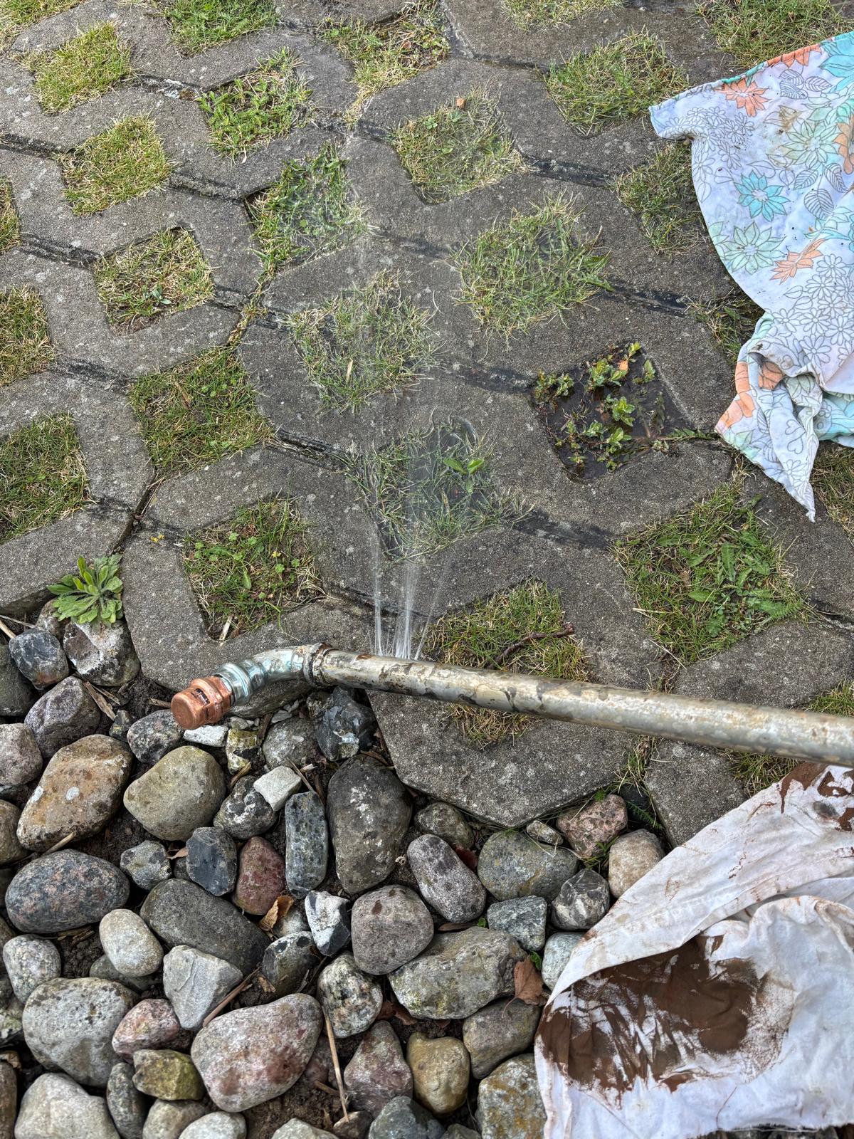 Ferienhaus Findling — Zempin — Unterkunft